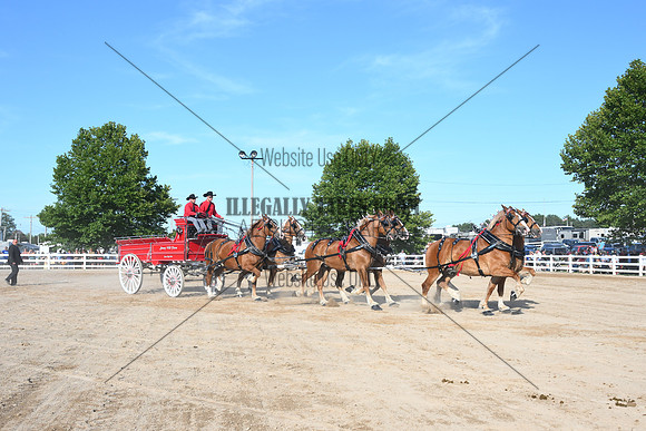 AJB_6359