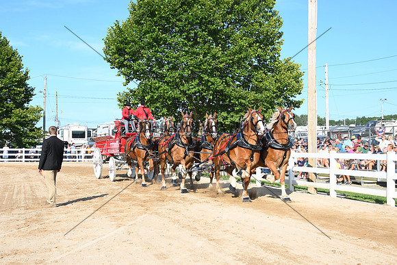 AJB_6366