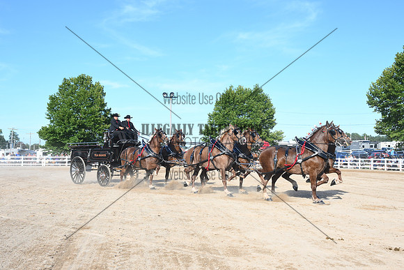 AJB_6356
