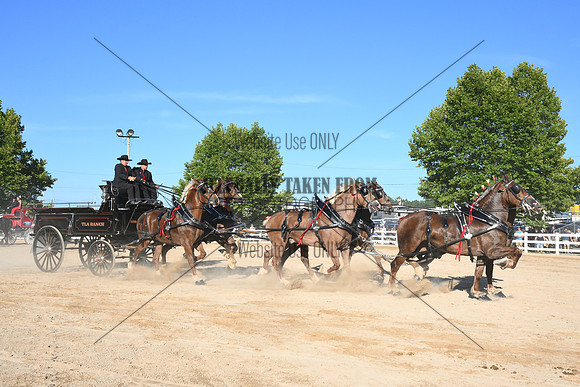 AJB_6436