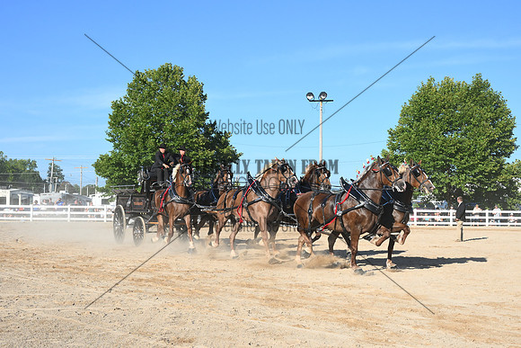 AJB_6435