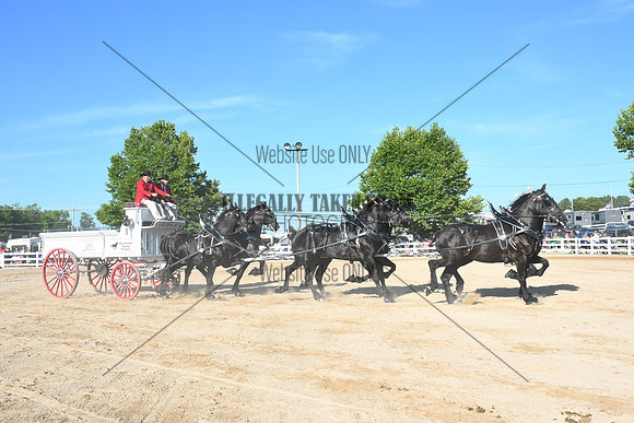 AJB_6404