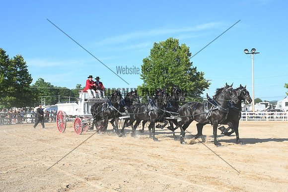 AJB_6403