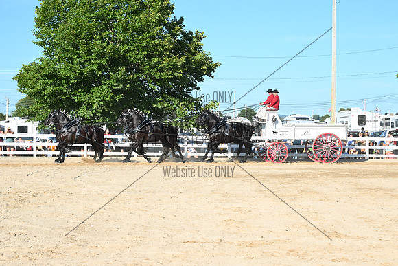 AJB_6396