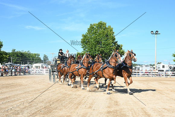 AJB_6319