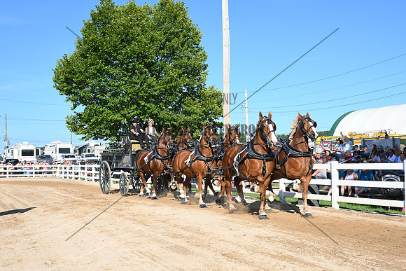 AJB_6326