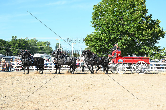 AJB_6395