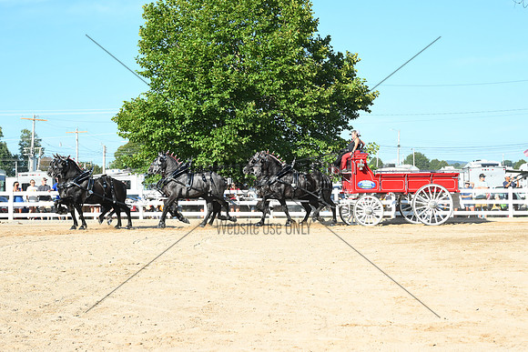 AJB_6394