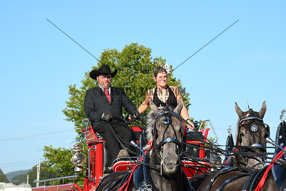AJB_6419