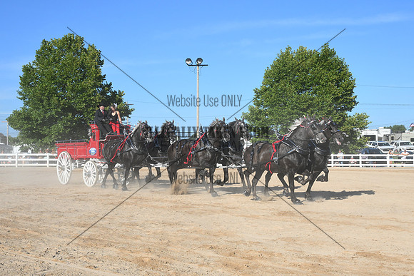 AJB_6437