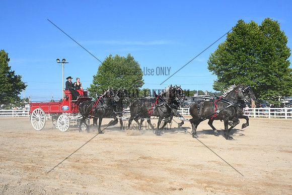 AJB_6438