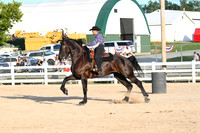 AJB_6587