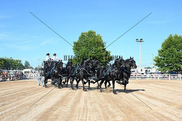 AJB_6287