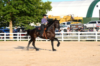 AJB_6590