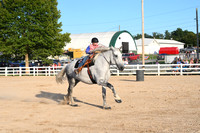 AJB_6597