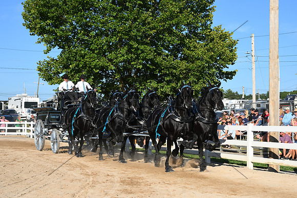 AJB_6439