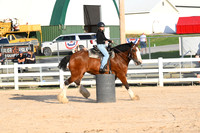AJB_6598