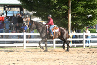 Open Western Riding
