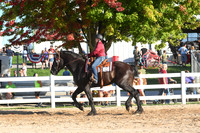 AJB_6515