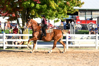 AJB_6519