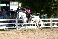 AJB_6524
