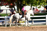 AJB_6528