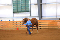 Non-Pro Ranch Conformation