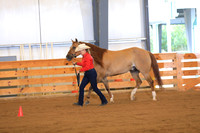 Open Ranch Conformation