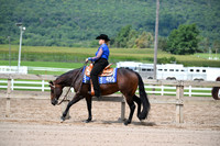 AJB_6951