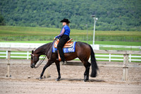 AJB_6952
