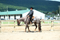 3 year old Western Pleasure Futurity