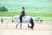 AJB_7019