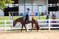 L1 Amateur Western Pleasure
