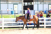 Select Western Pleasure