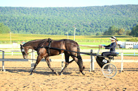 AJB_7641