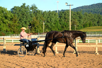AJB_7625