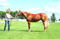 AJB_8096