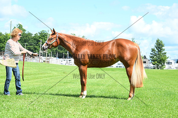 AJB_8097