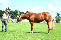 AJB_8098