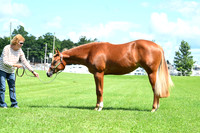 AJB_8099