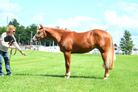 AJB_8102