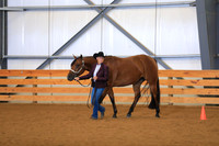 Amateur 3 Year Old Mares
