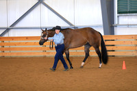Amateur Aged Mares
