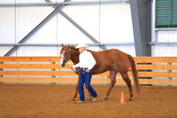 Amateur Three Year Old Geldings