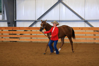 Amatuer Yearling Mares