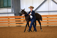 Non Pro Weanling Colt Futurity