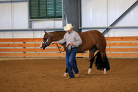 Open Performance Geldings