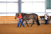Open Performance Mares