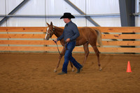 Open Weanling Colt Futurity