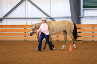 Open Yearling Mares